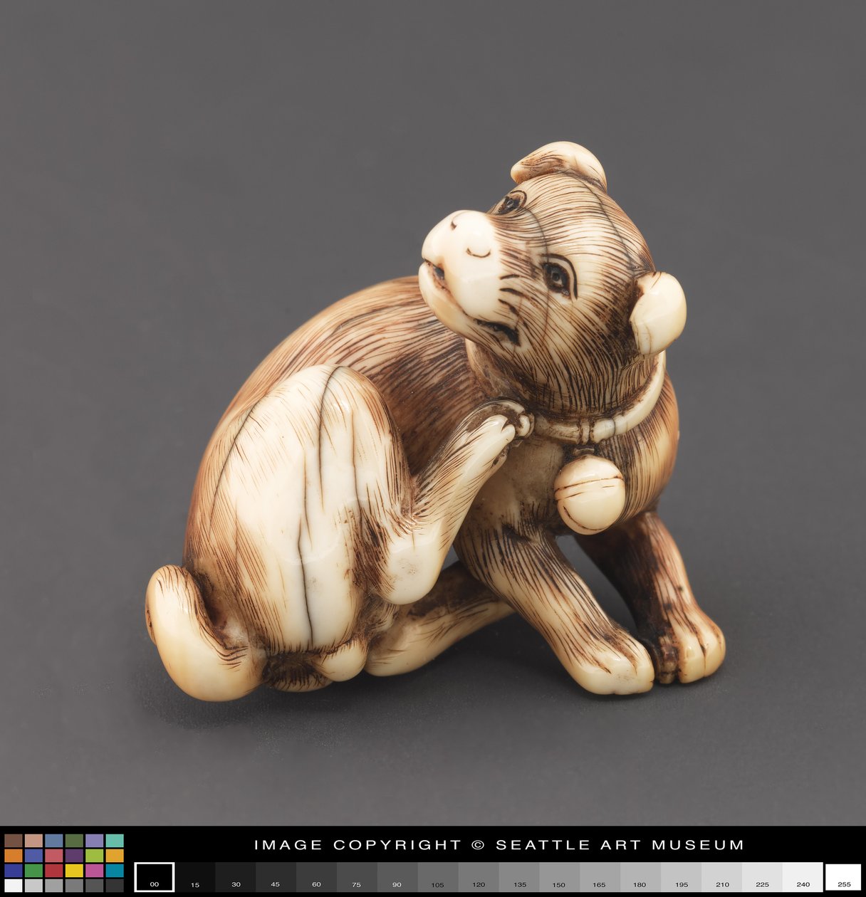 Netsuke modellato come un cane che si gratta il collo da Japanese School