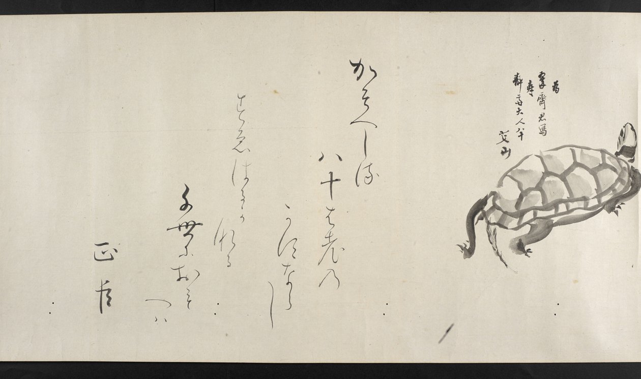 Or. 14872, f.29, Una tartaruga, da Yoshida Seisai da Japanese School