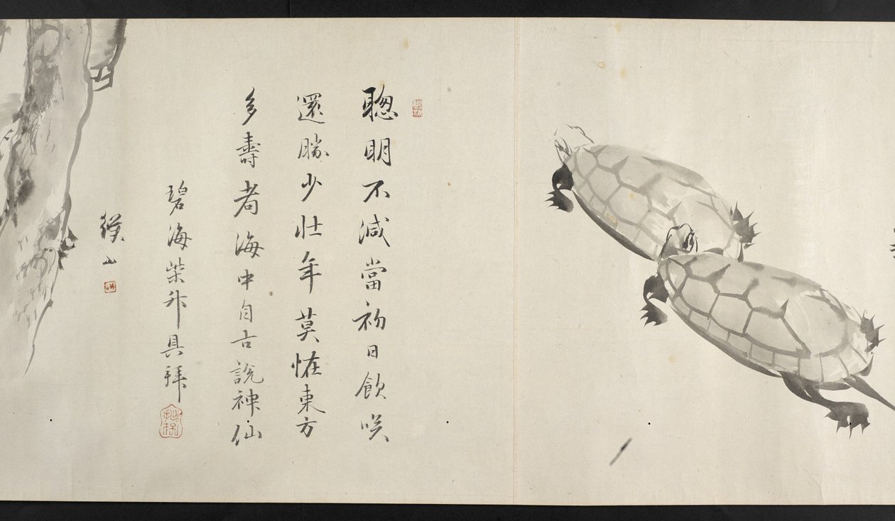 Due tartarughe, da Yoshida Seisai (rotolo) da Japanese School