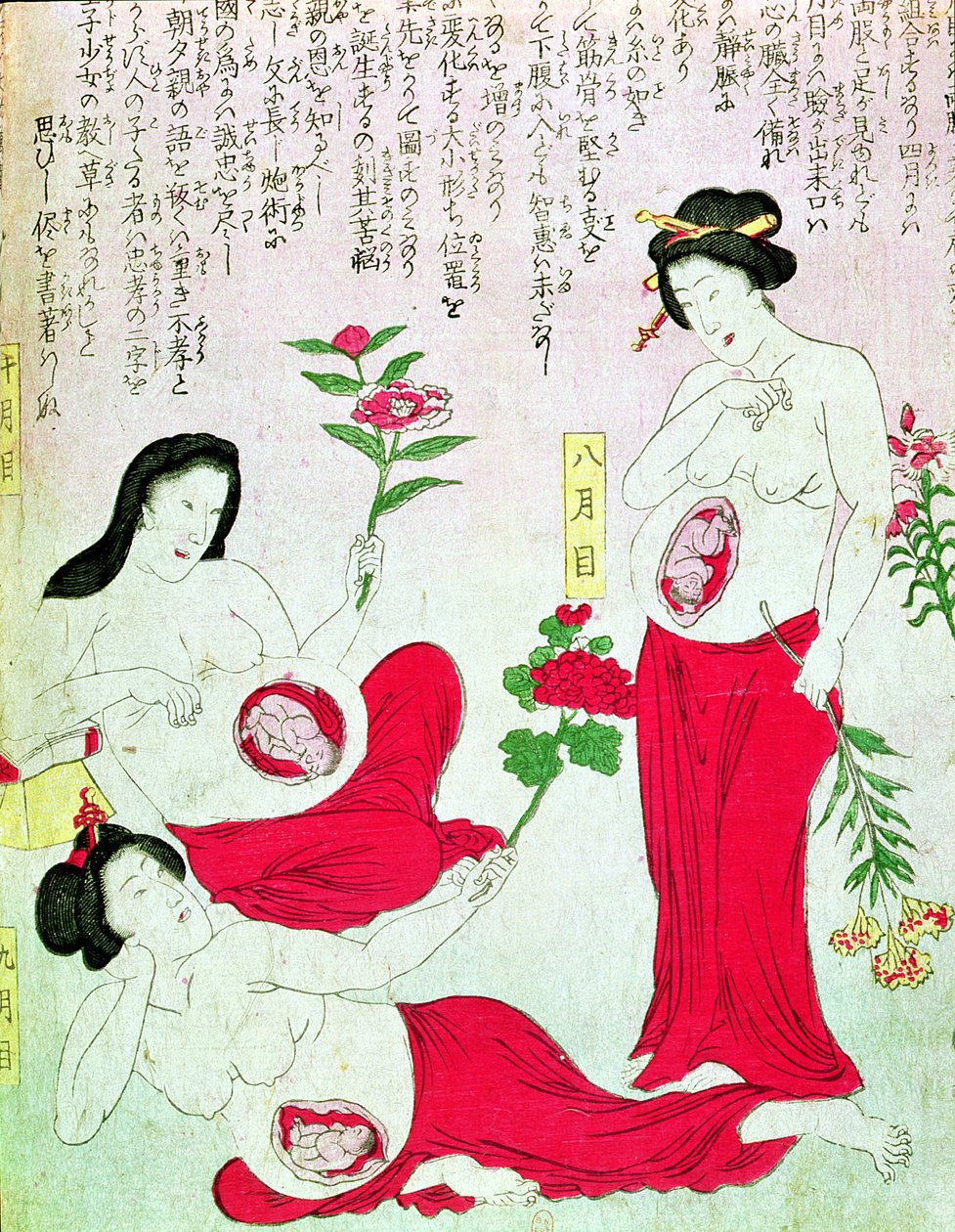 Donne incinte, 1881 da Japanese School
