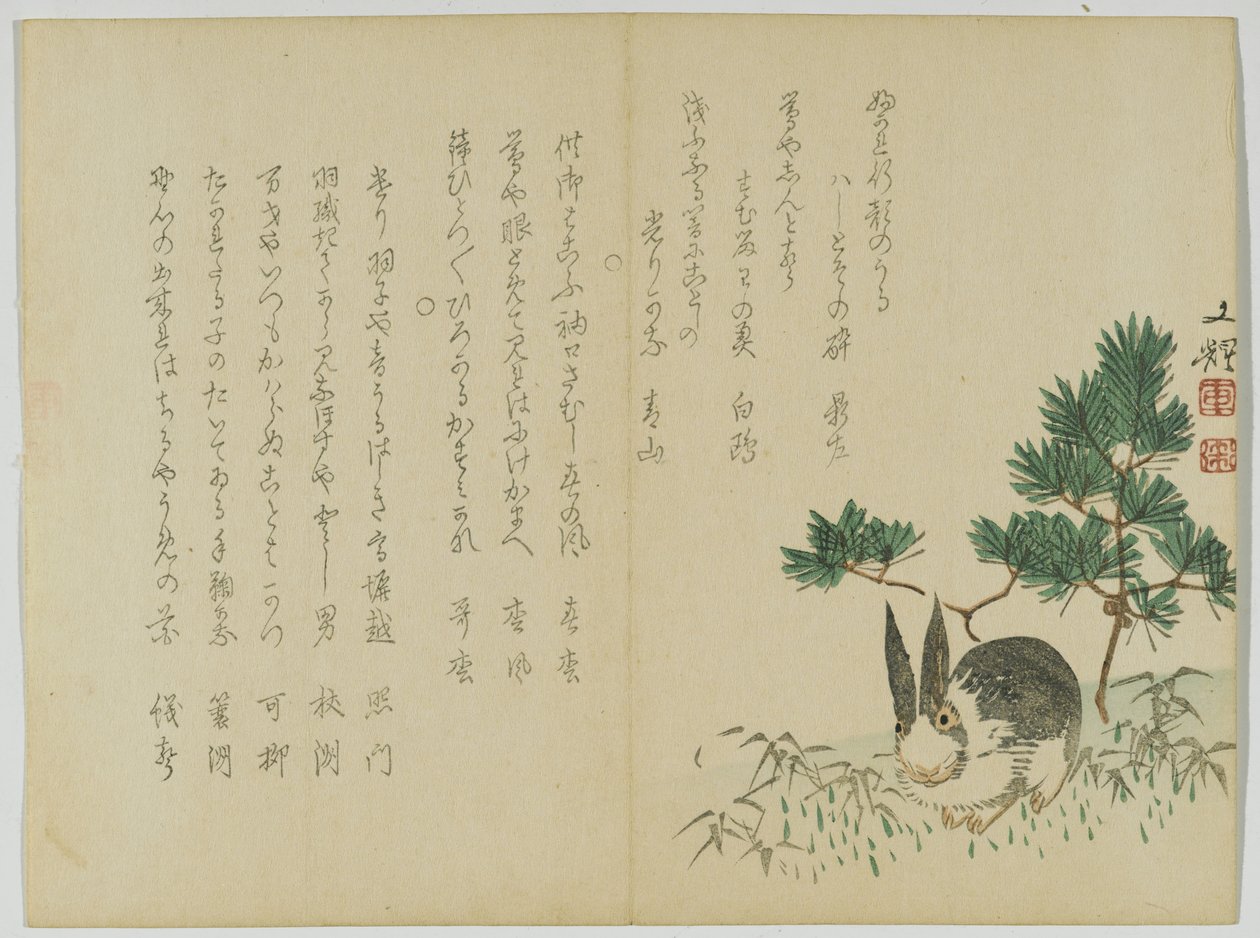 Coniglio sotto il Pino di Capodanno, c.1860 da Japanese School