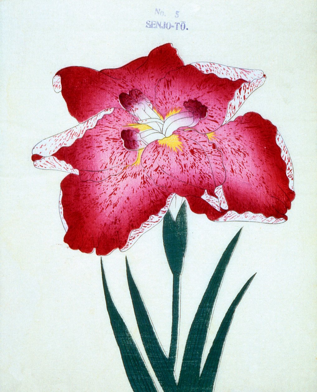 Senjo-To, n.5, 1898 da Japanese School