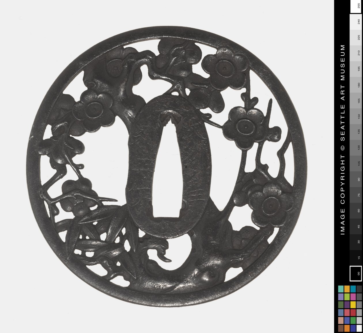 Tsuba: Ramo di ciliegio in fiore, inizio XVIII secolo da Japanese School