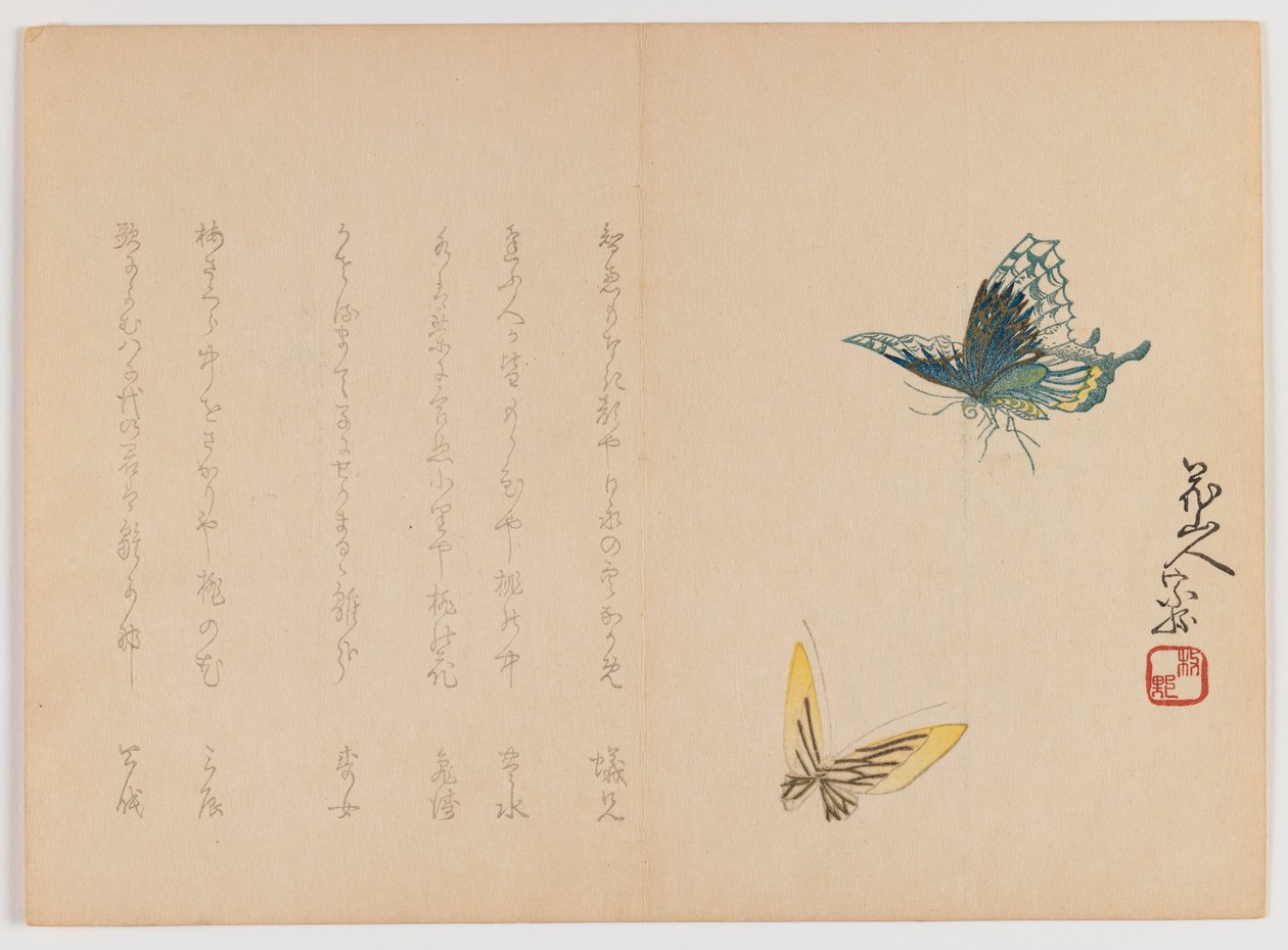 Due farfalle, c.1860 da Japanese School