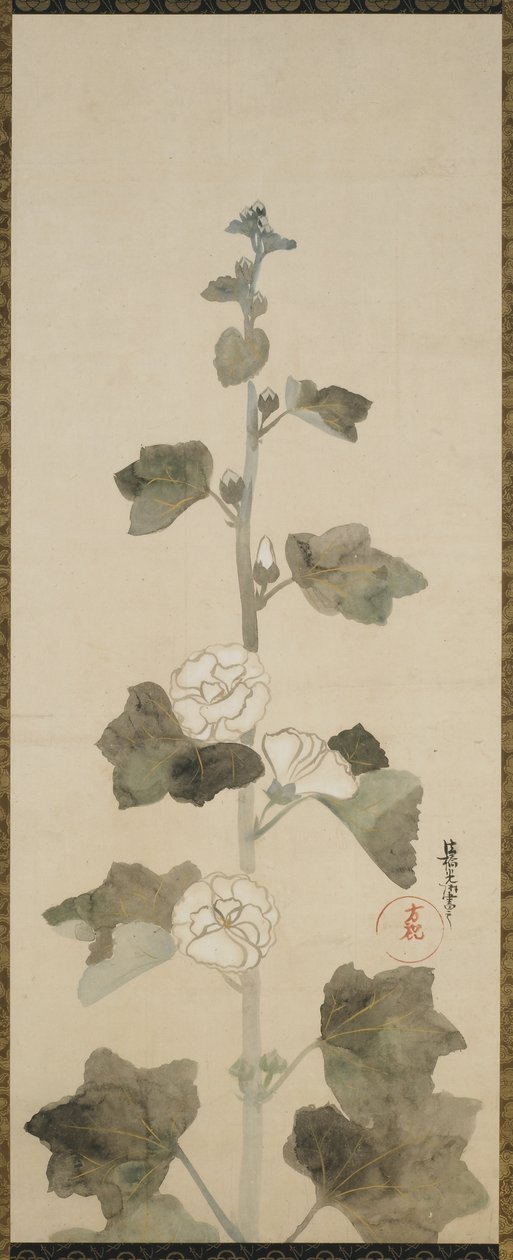 Agrifogli bianchi, periodo Edo da Japanese School