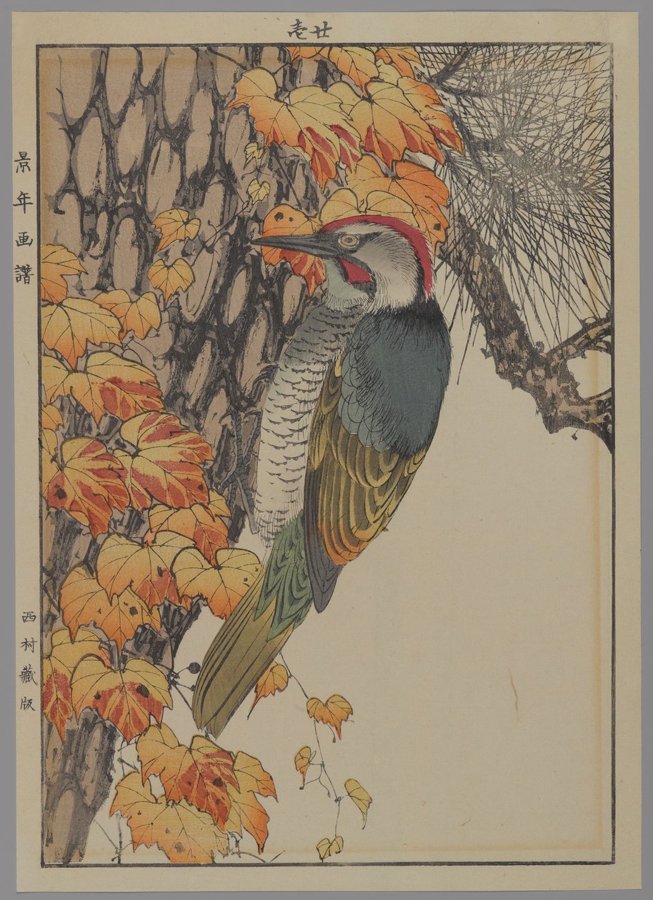 Picchio, 1892 da Japanese School