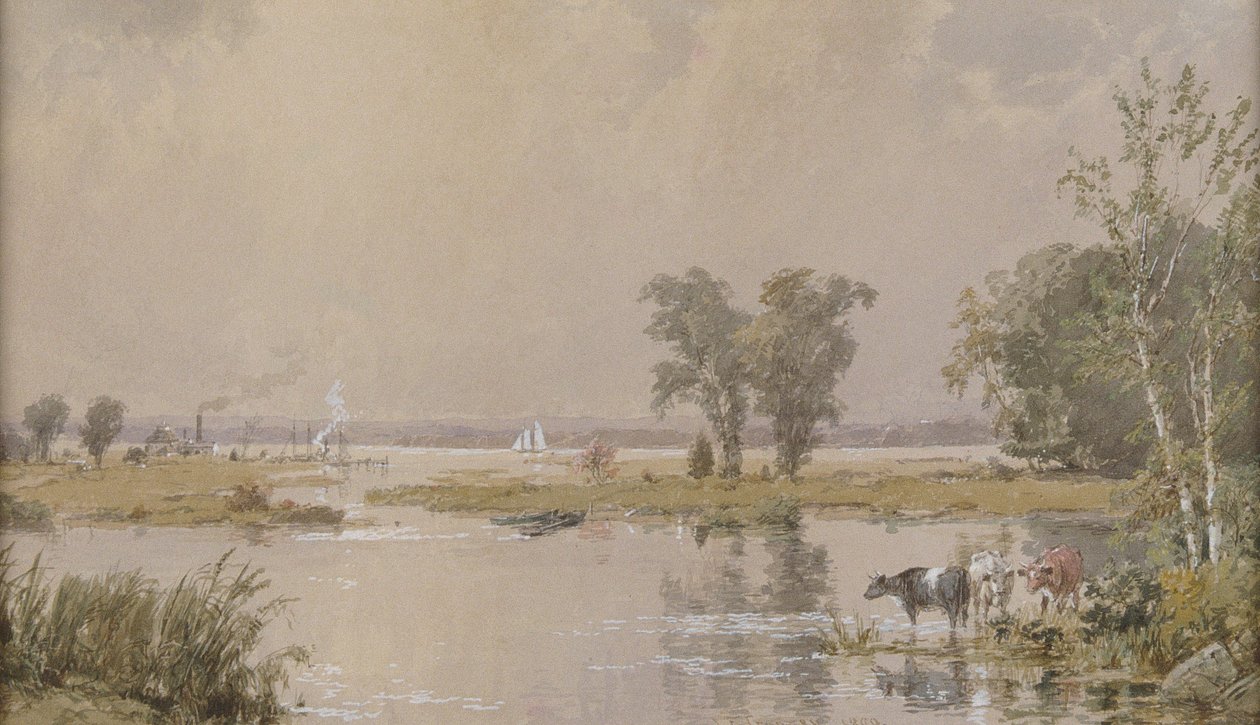 Hackensack Meadows da Jasper Francis Cropsey