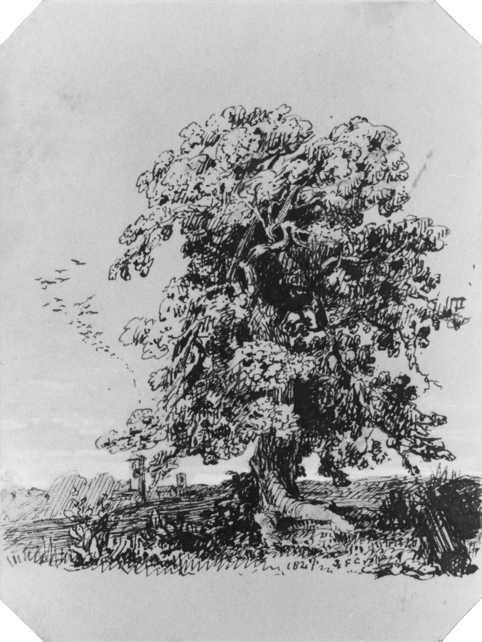 Paesaggio con albero e un villaggio in lontananza (dall