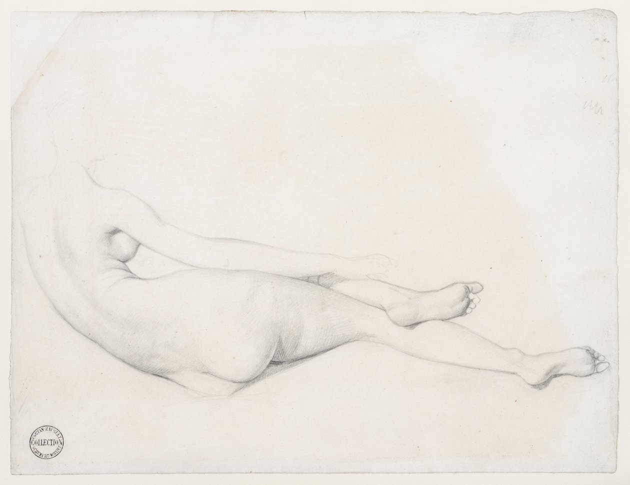 Studio per La Grande Odalisque, 1814 da Jean Auguste Dominique Ingres