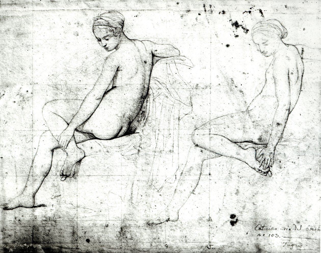 Studio per il Bagno Turco da Jean Auguste Dominique Ingres