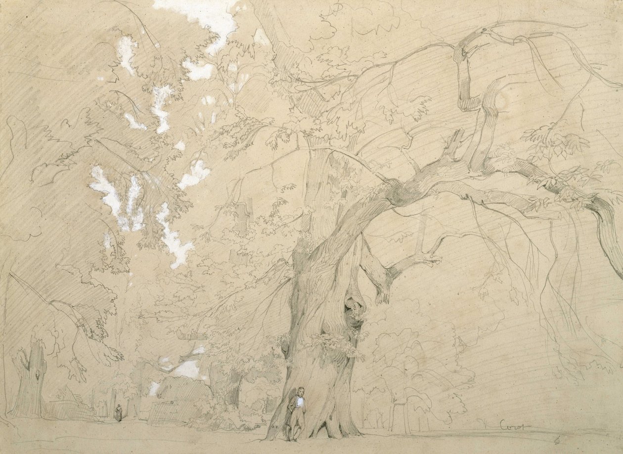 Un giovane davanti a una grande quercia da Jean Baptiste Camille Corot
