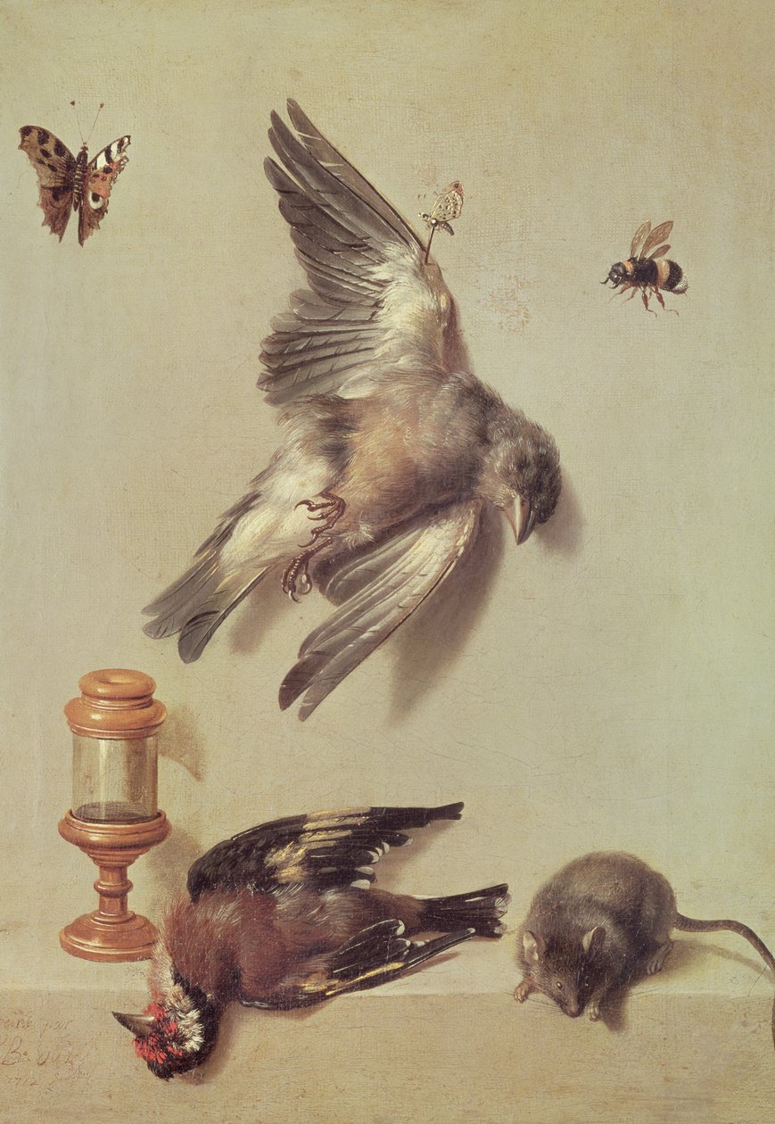 Natura morta di uccelli morti e un topo, 1712 da Jean Baptiste Oudry