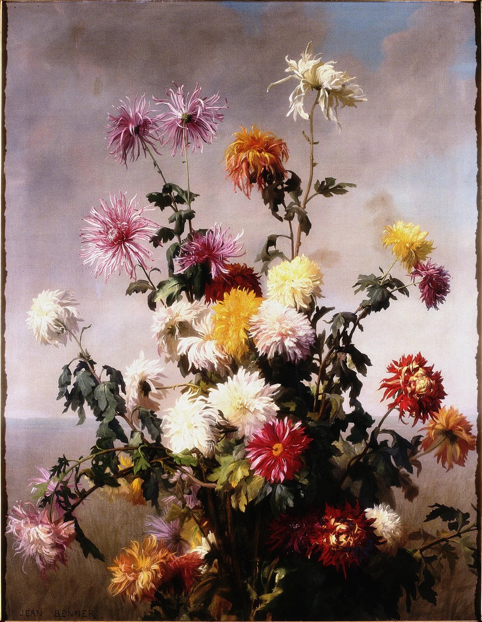 Studio di fiori da Jean Benner