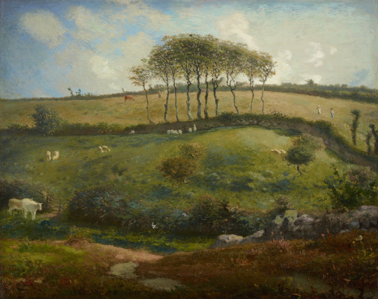 Pascolo vicino a Cherbourg (Normandia) da Jean Francois Millet