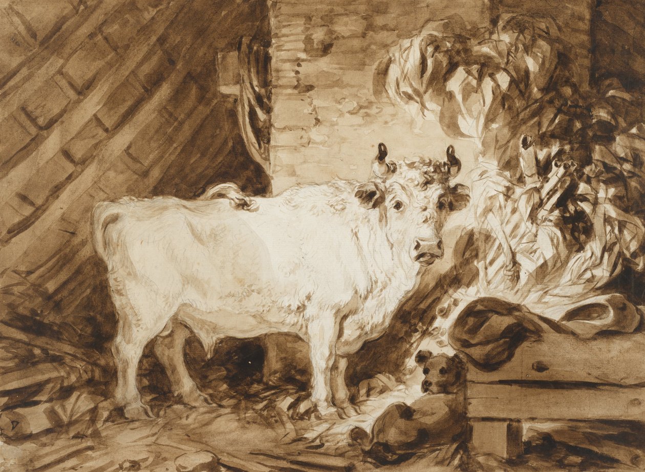 Toro bianco e un cane in una stalla da Jean Honore Fragonard