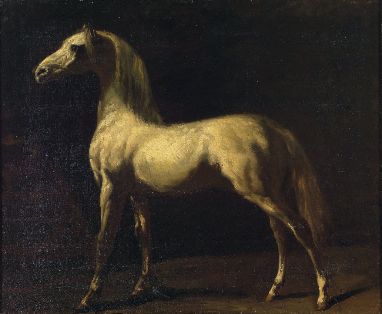Un cavallo in piedi da Theodore Gericault