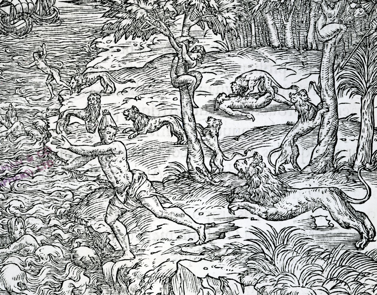 Leoni che attaccano e mangiano umani, illustrazione da 