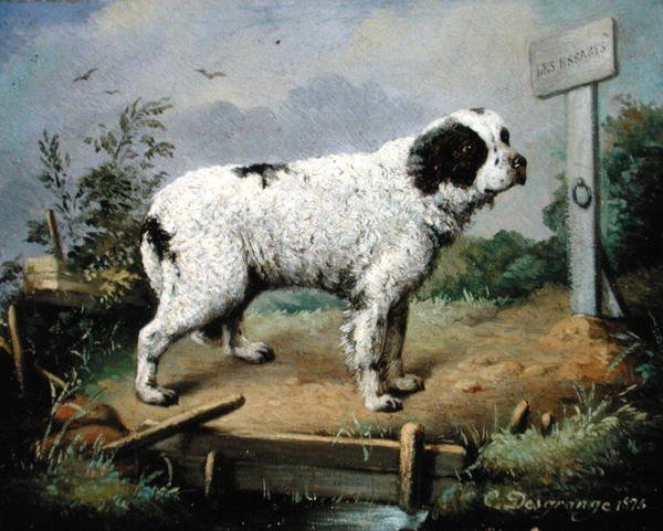 Un Terranova su un argine da Jean Baptiste Desgrange