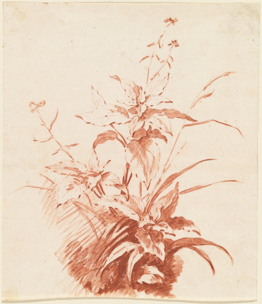 Blühende Pflanze mit Gras da Jean-Baptiste Huet