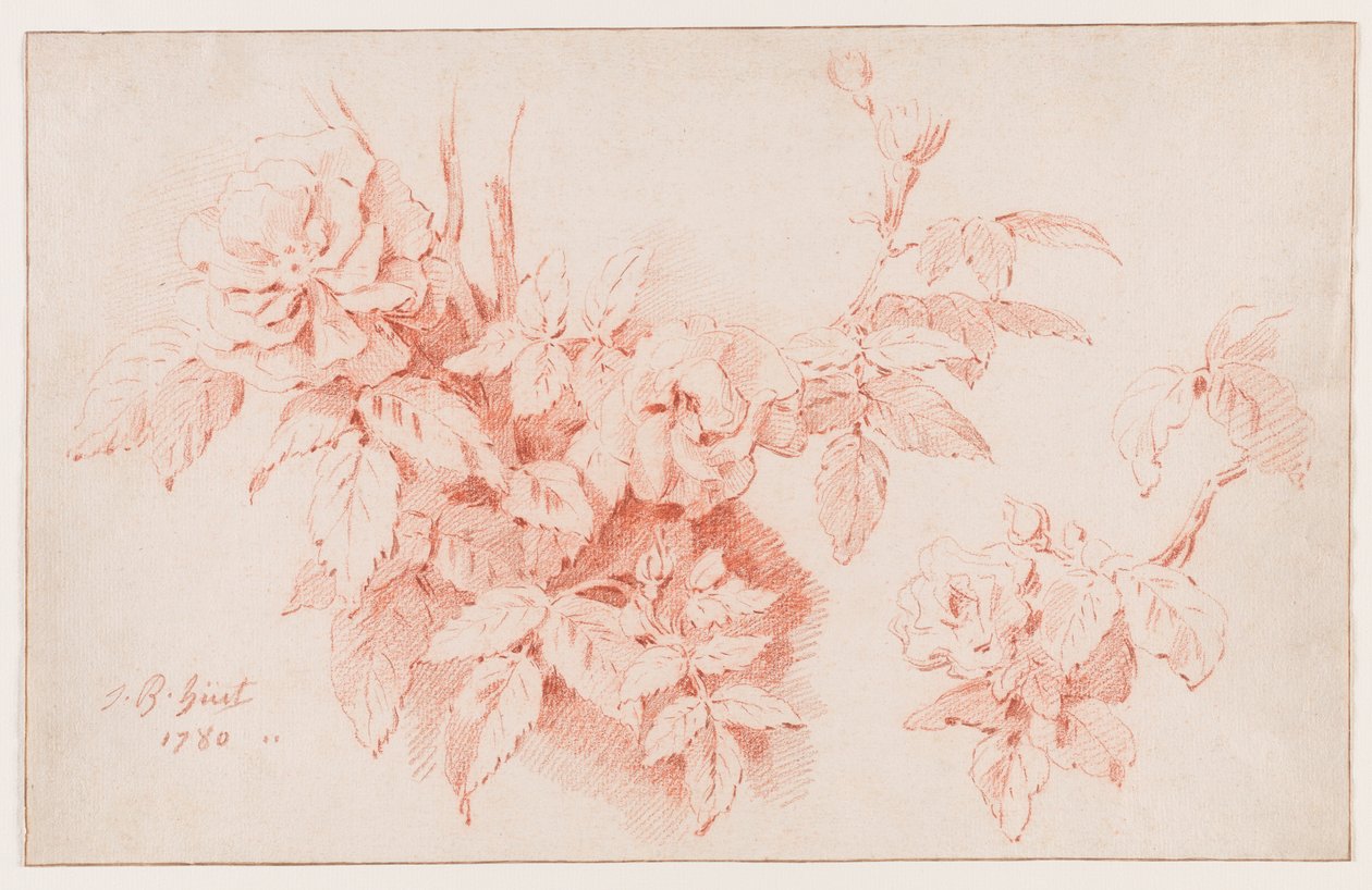 Le rose da Jean-Baptiste Huet