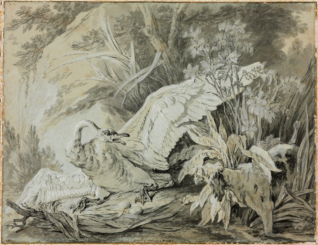 Un cigno selvatico attaccato da un cane da Jean-Baptiste Oudry
