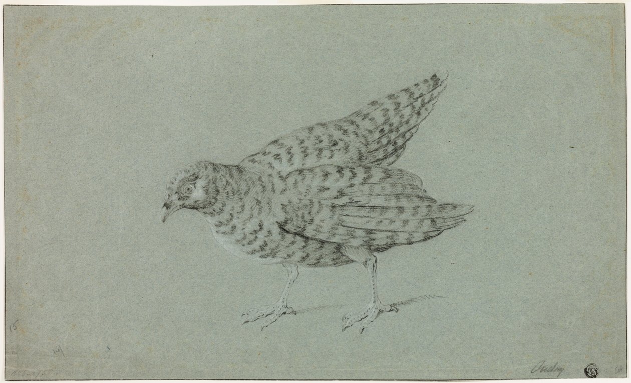 Pernice da Jean-Baptiste Oudry