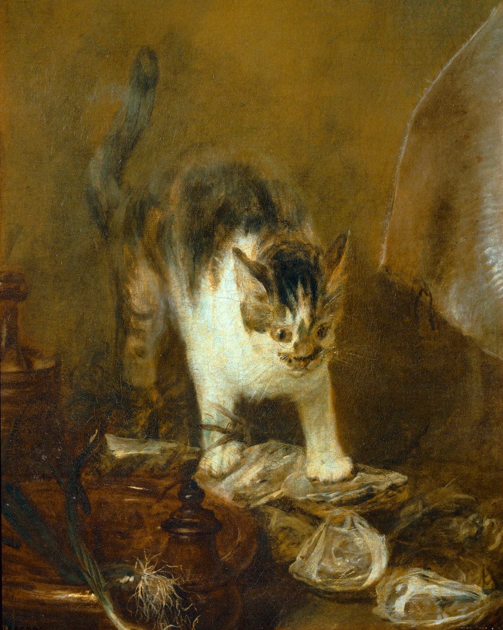 Il raggio - il raggio ... da Jean Baptiste Simeon Chardin