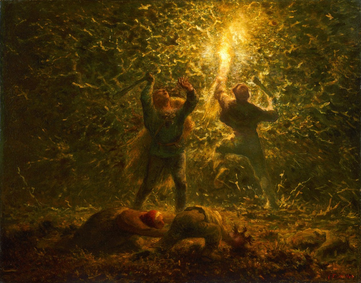Cercatori di nidi d
