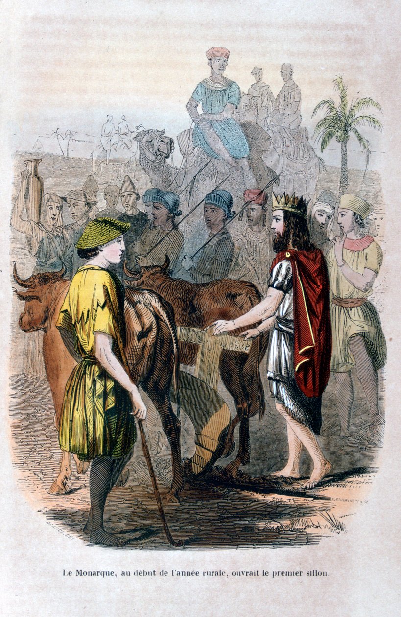 Il monarca, all