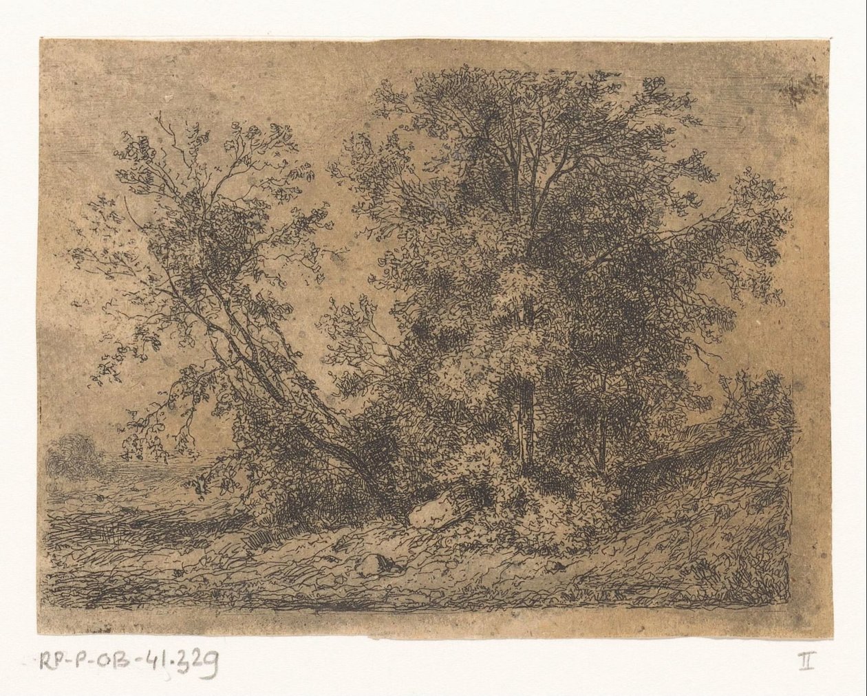 Gruppo di alberi da Jean Alexis Achard