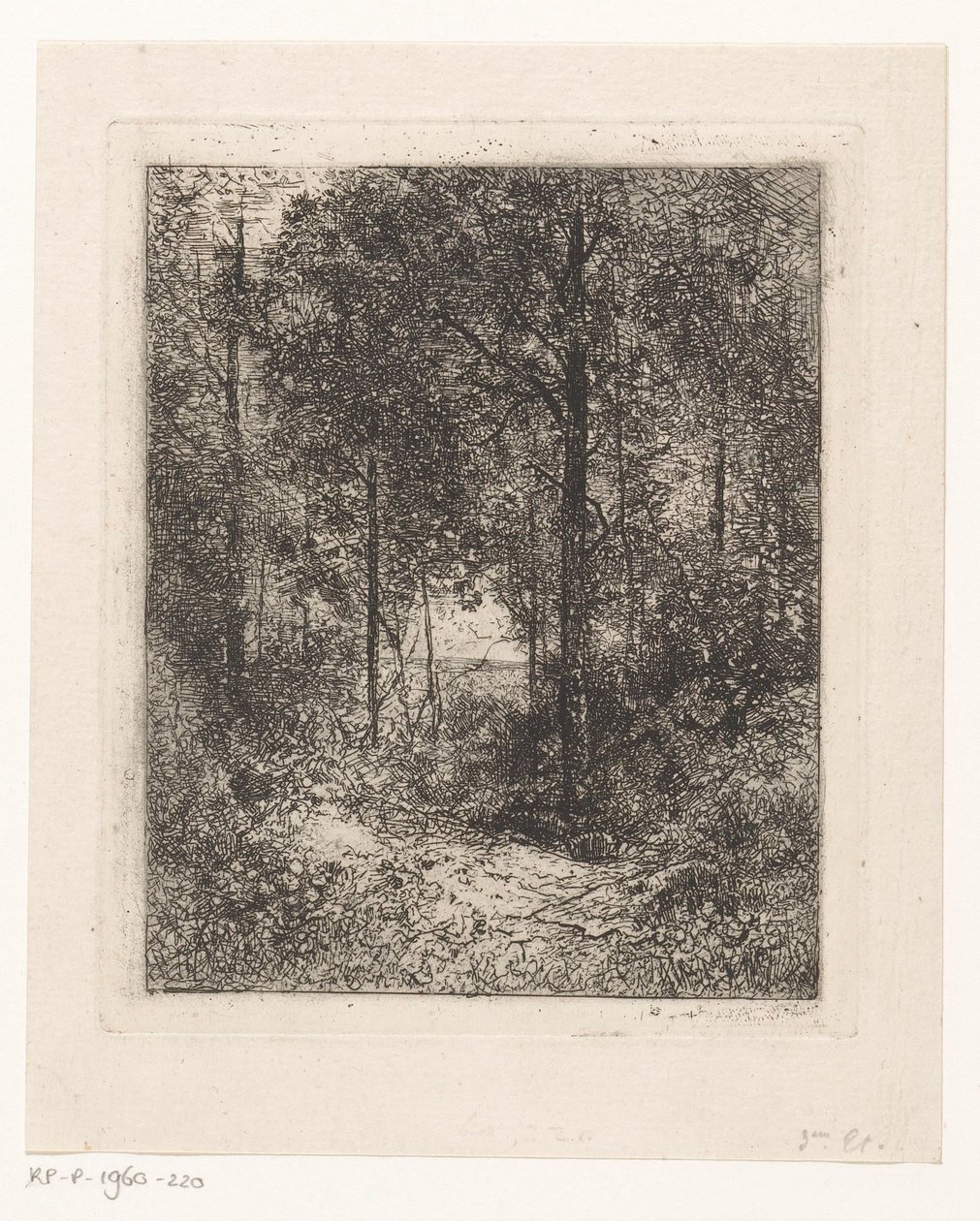 Paesaggio boschivo da Jean Alexis Achard