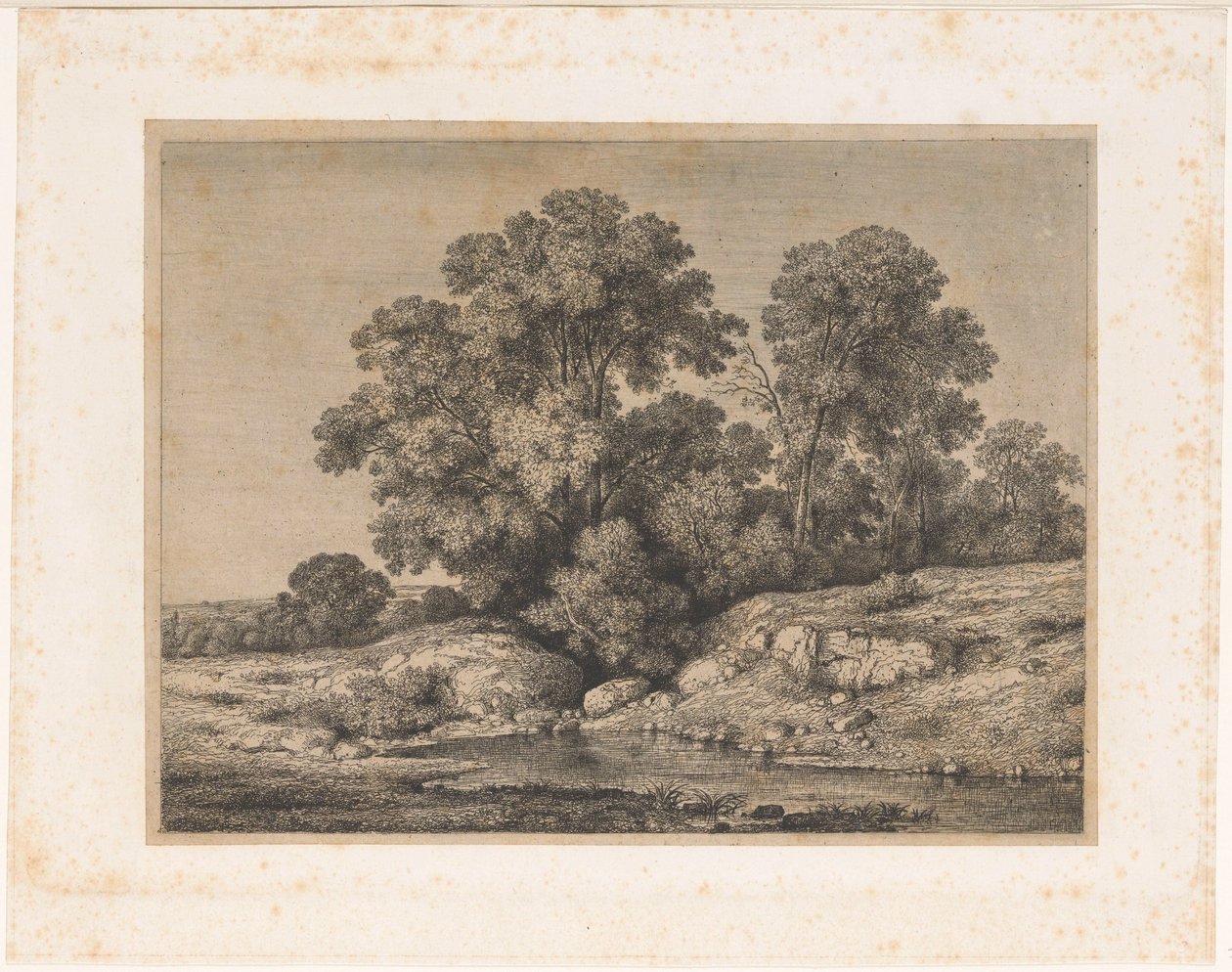 Stagno ai piedi di un gruppo di alberi da Jean Alexis Achard