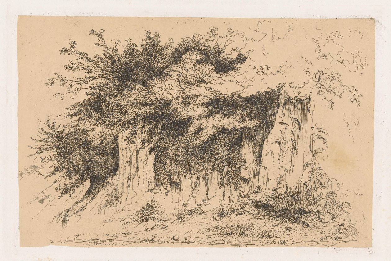 Cespugli su un terrapieno da Jean Alexis Achard