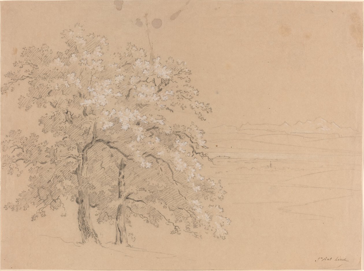 Alberi illuminati dal sole davanti a un paesaggio panoramico da Jean Antoine Linck