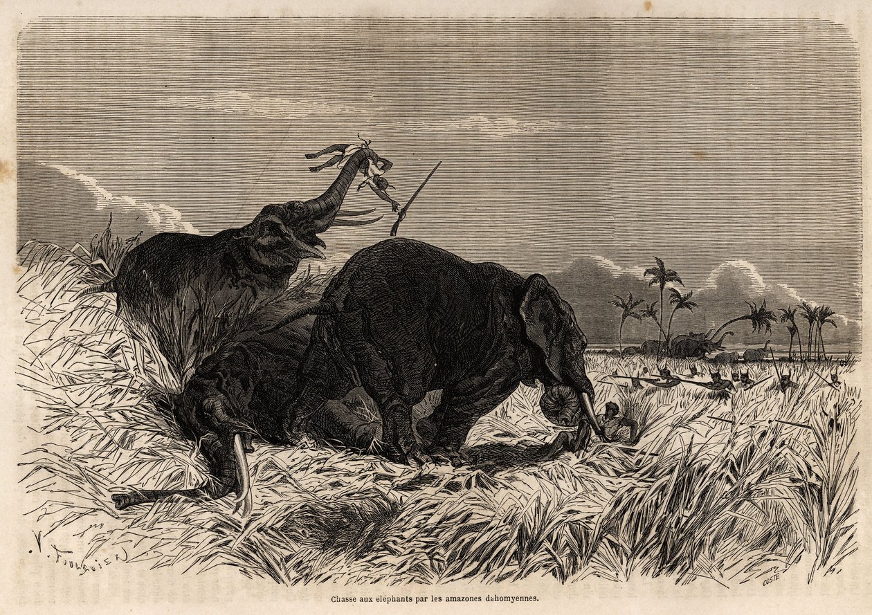 La caccia agli elefanti da parte delle Amazzoni del Dahomey da Jean Antoine Valentin Foulquier