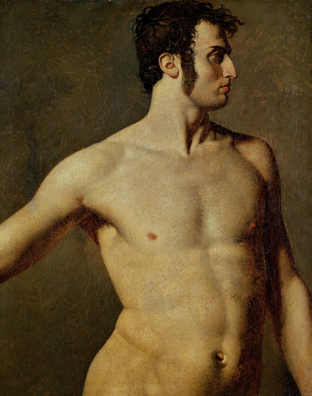 Torso maschile da Jean Auguste Dominique Ingres