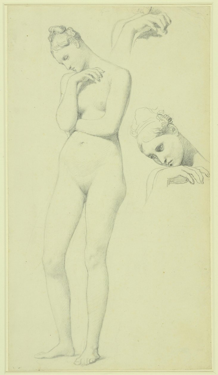 Studi per la figura di Stratonice, 1834-40 circa (matita su carta) da Jean Auguste Dominique Ingres