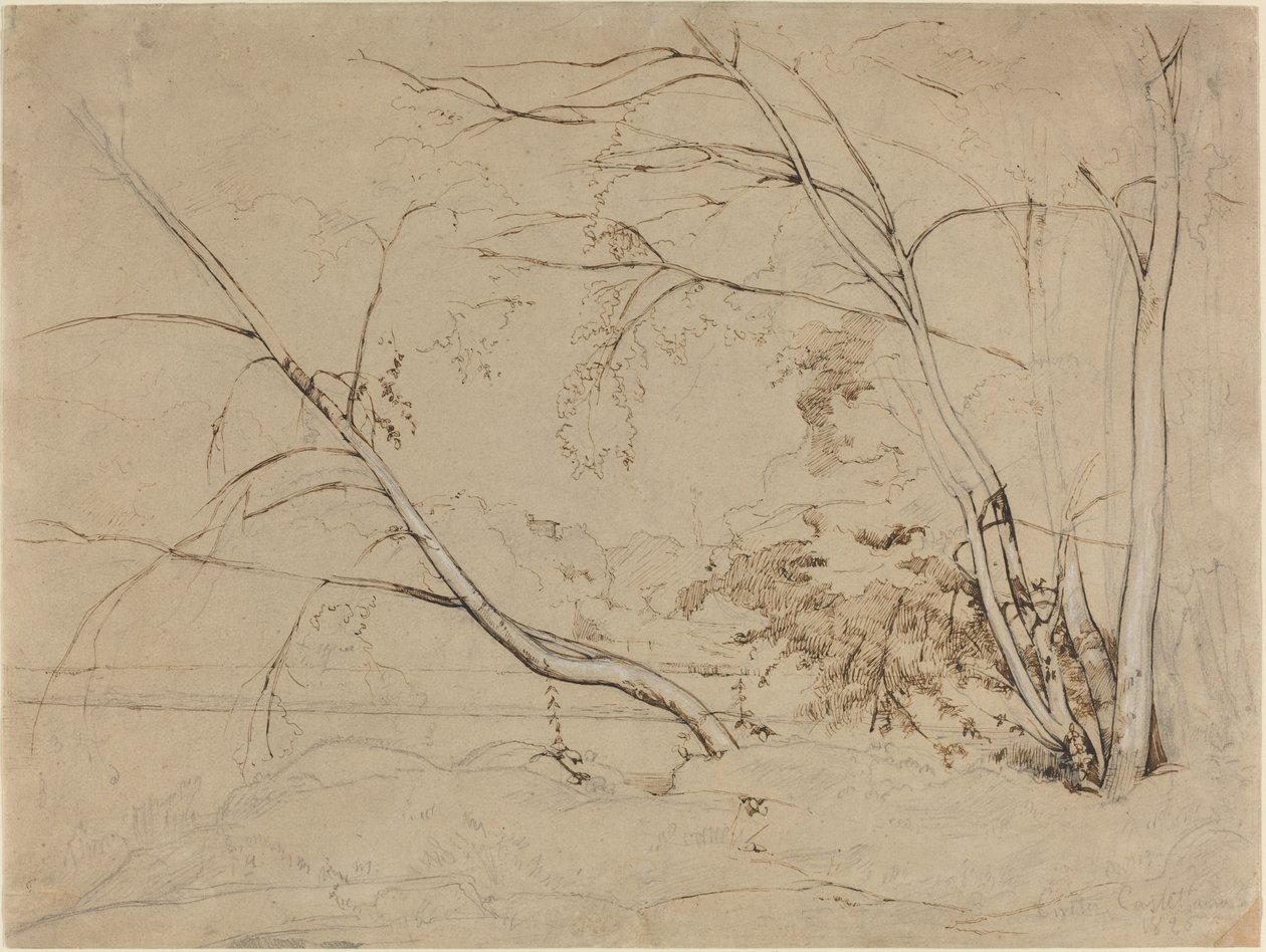 Gruppo di alberi a Civita Castellana da Jean Baptiste Camille Corot