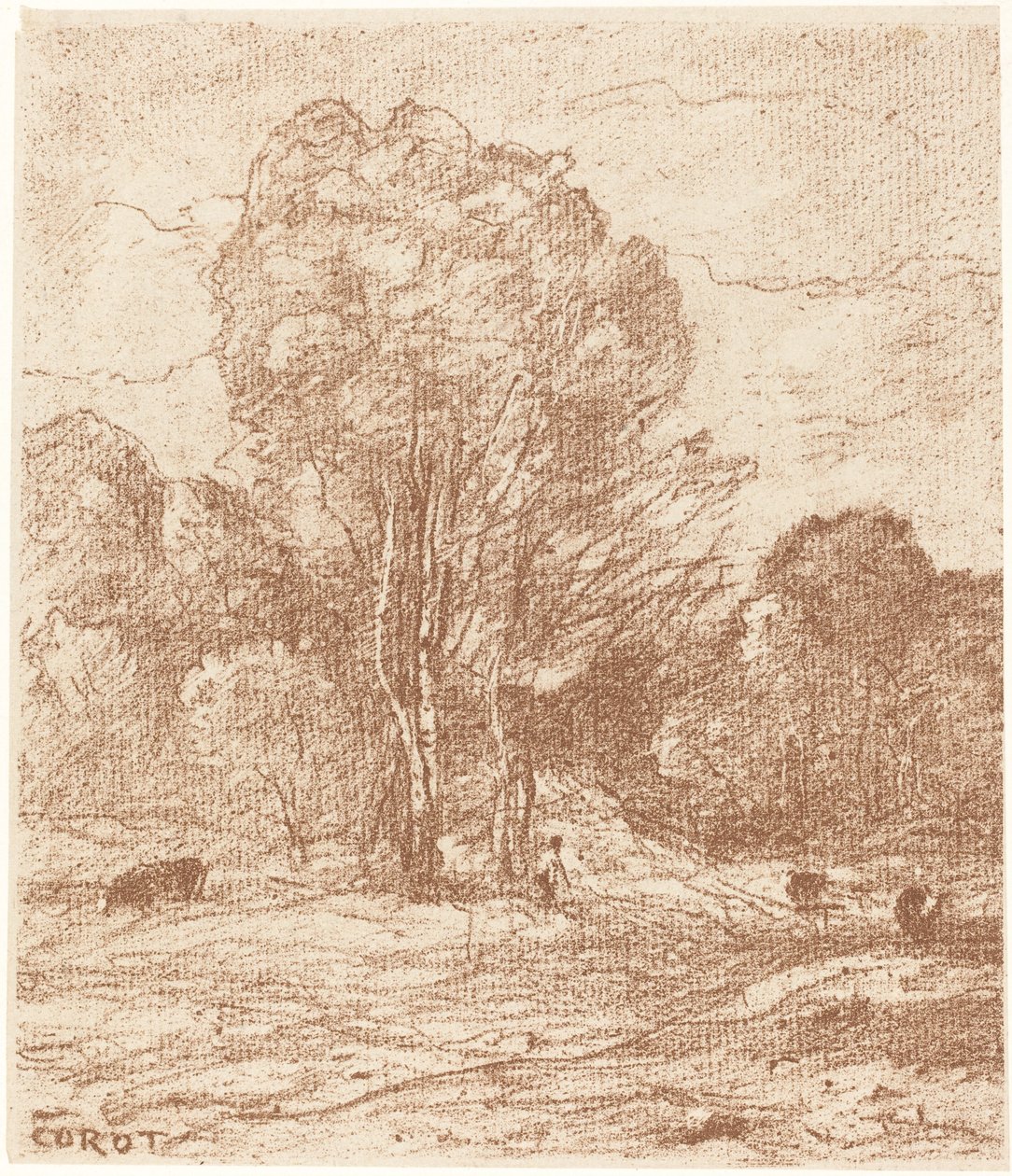 Mucche addormentate (Le Dormoir des vaches) da Jean Baptiste Camille Corot