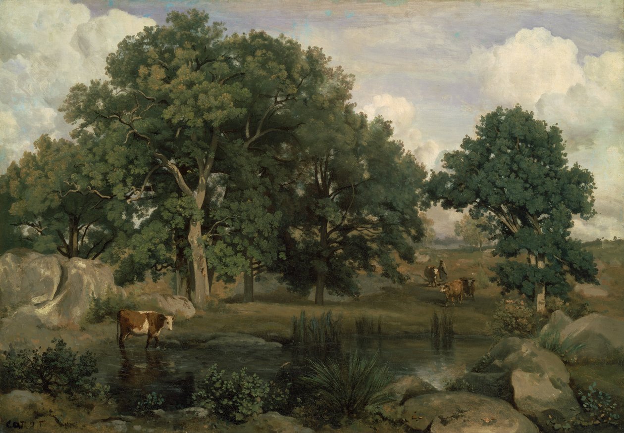 Francese: Forêt de Fontainebleau Foresta di Fontainebleau da Jean Baptiste Camille Corot
