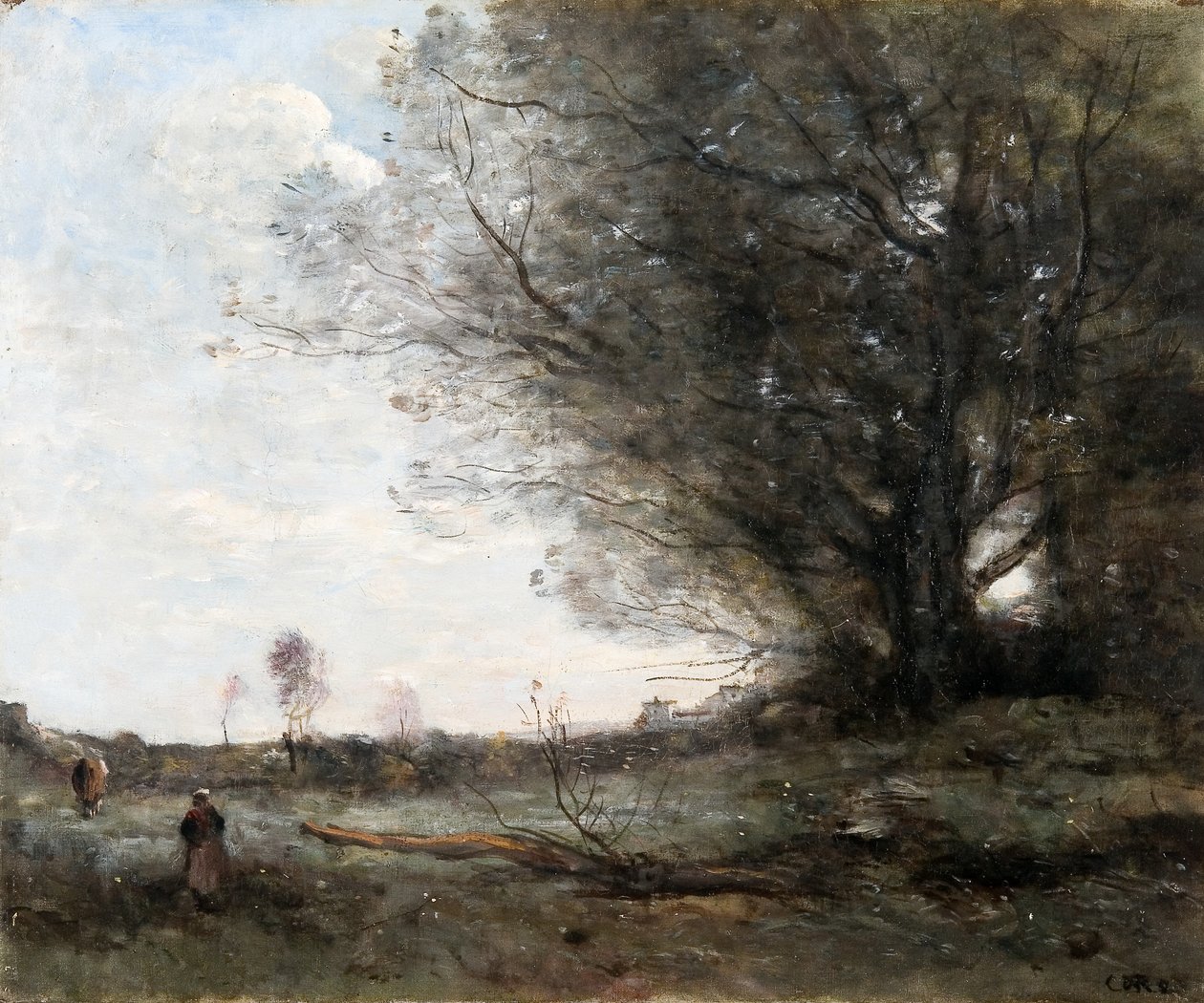 Il faggio, 1865 circa (olio su tela) da Jean Baptiste Camille Corot