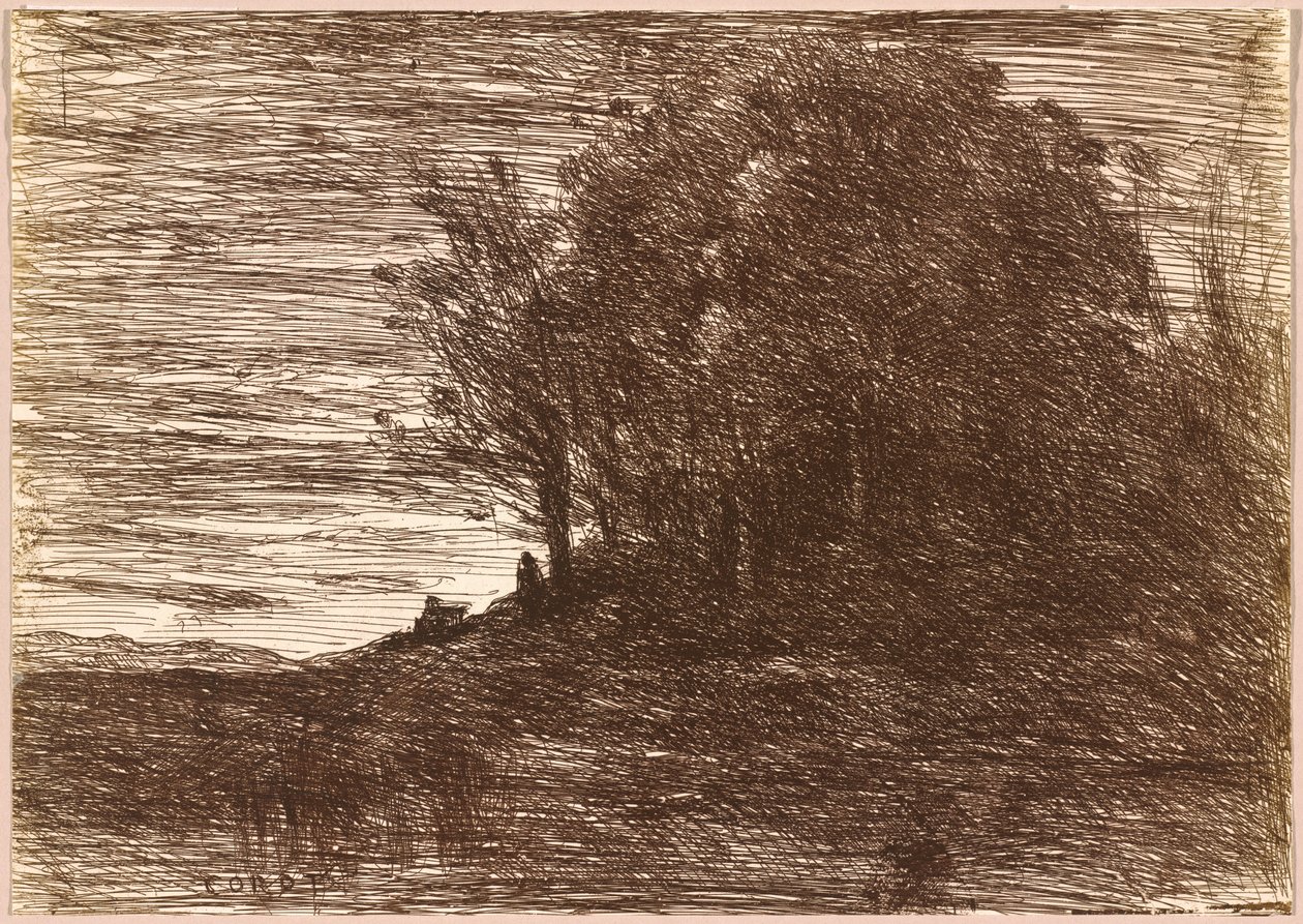 Il bosco dell