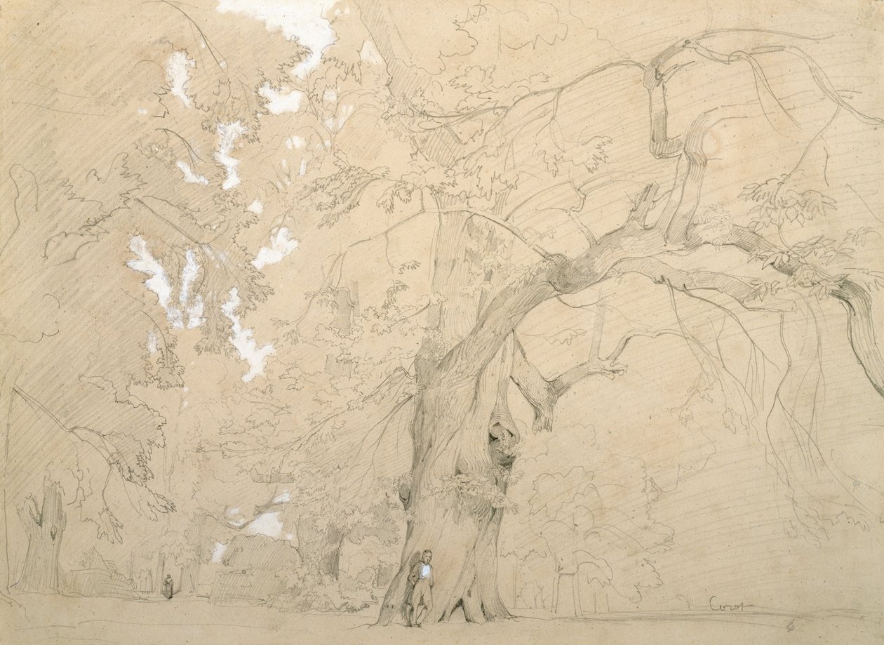 Giovane uomo davanti a una grande quercia, c.1840 da Jean Baptiste Camille Corot
