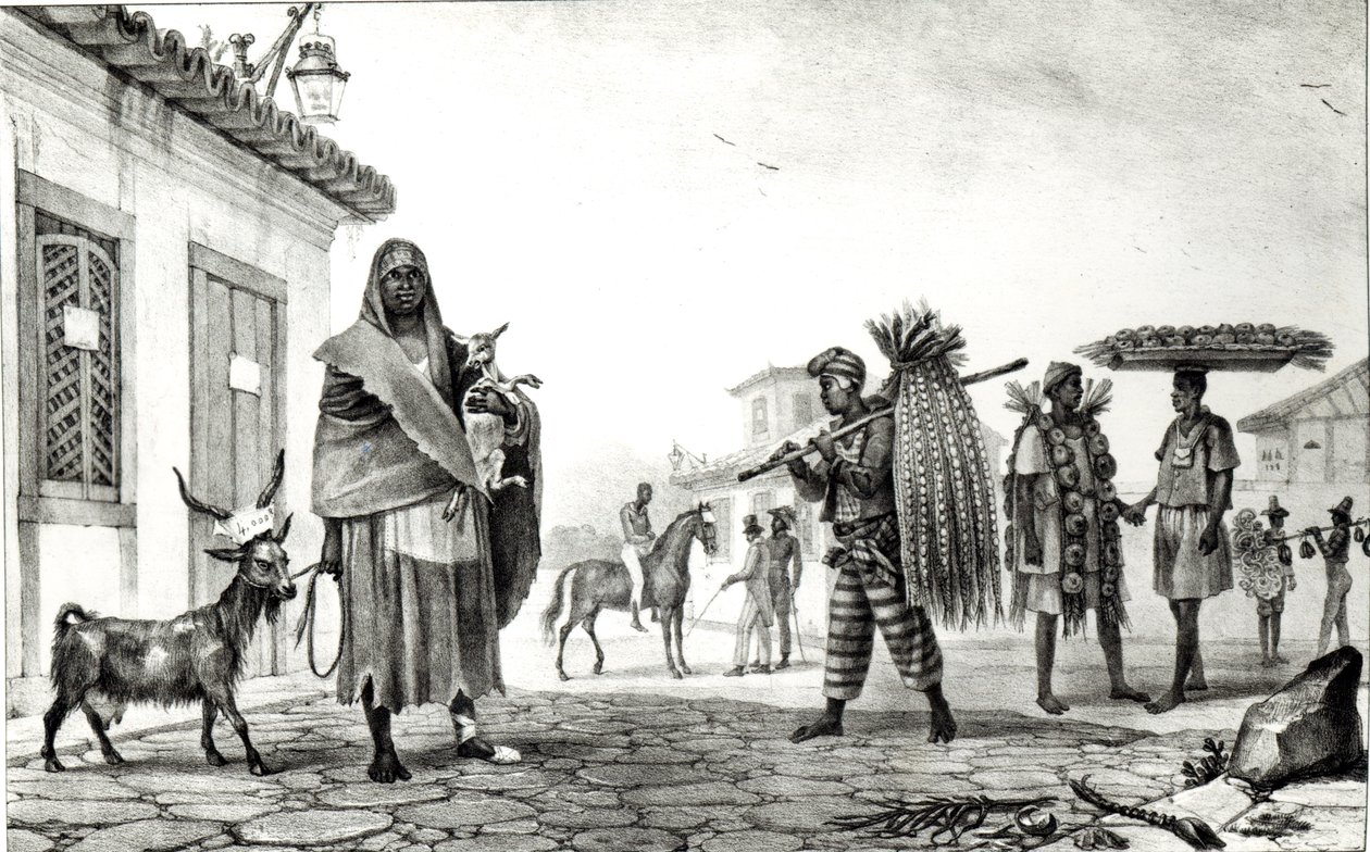 Casa in affitto, cavallo e capra in vendita, da 