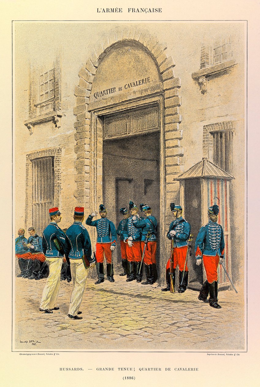 Tipi e uniformi dell