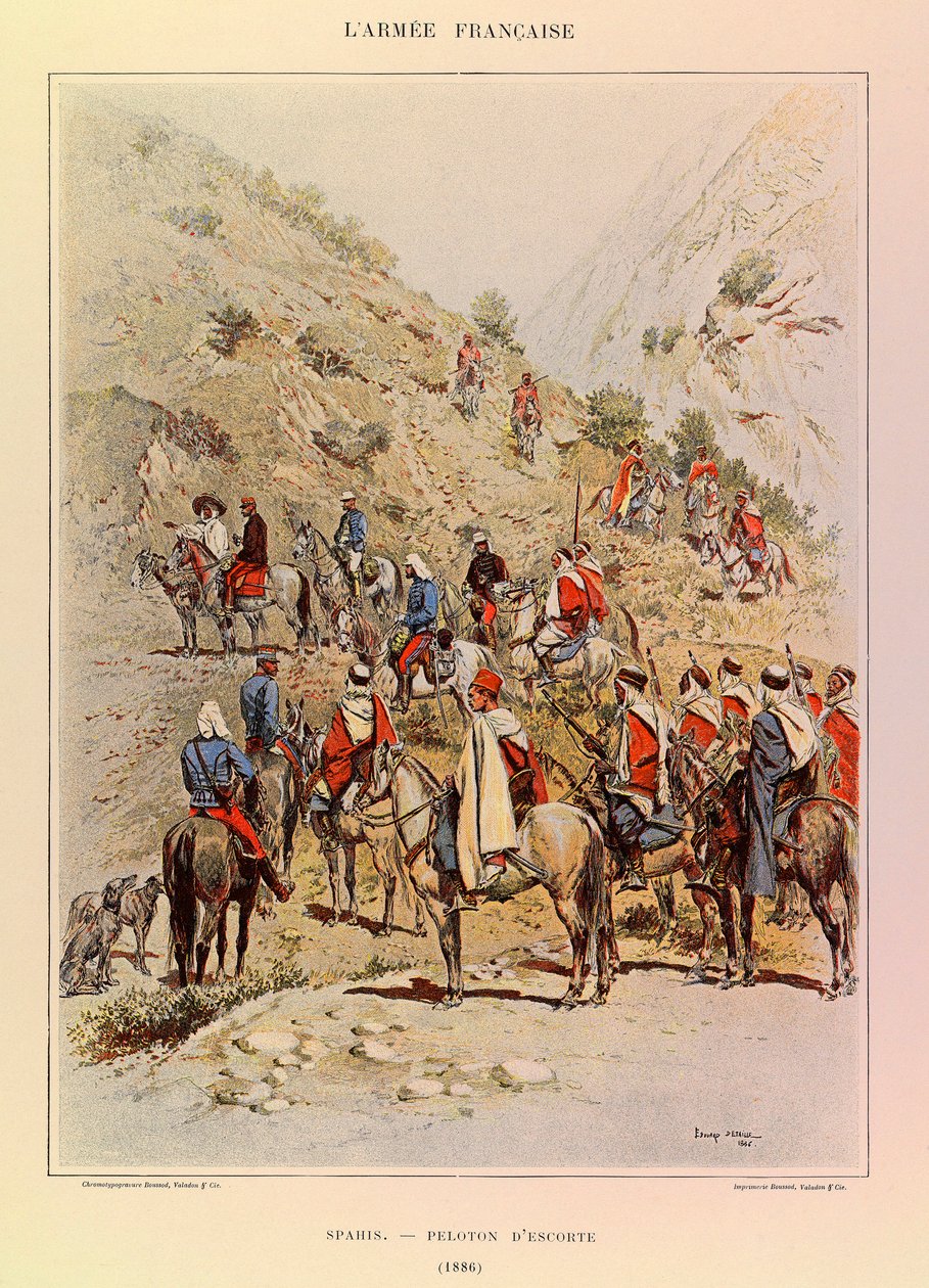Tipi e uniformi dell
