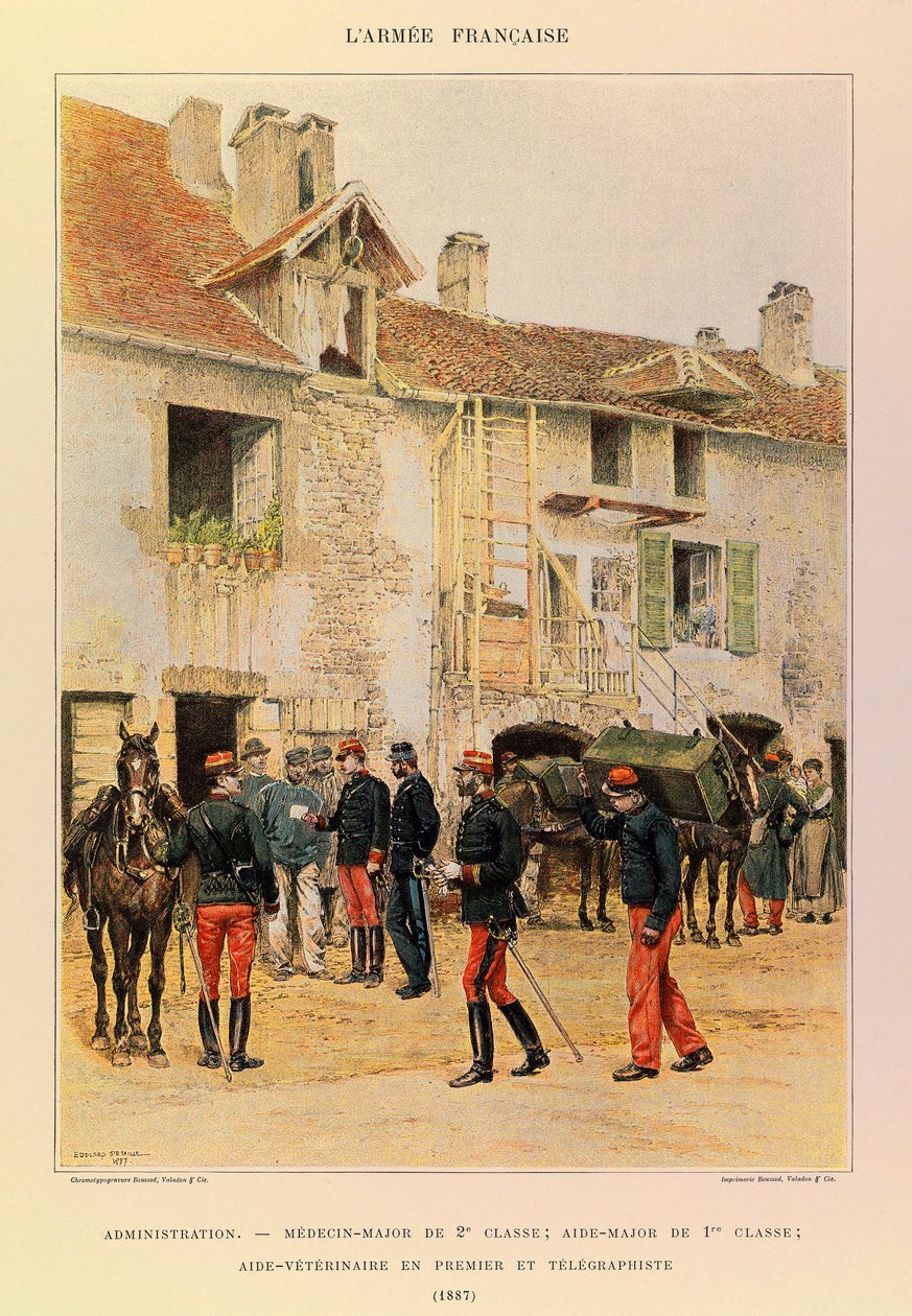 Tipi e uniformi dell