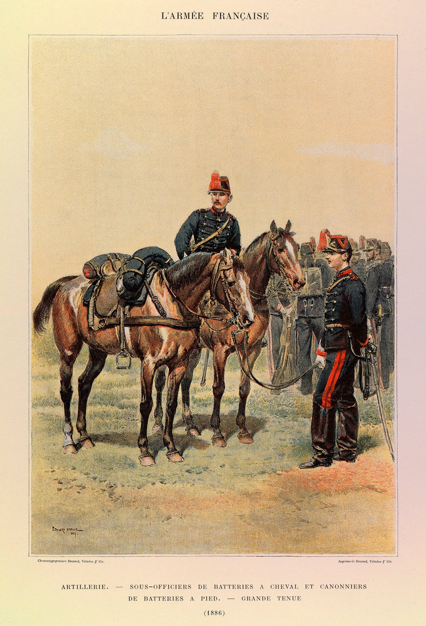 Tipi e uniformi dell
