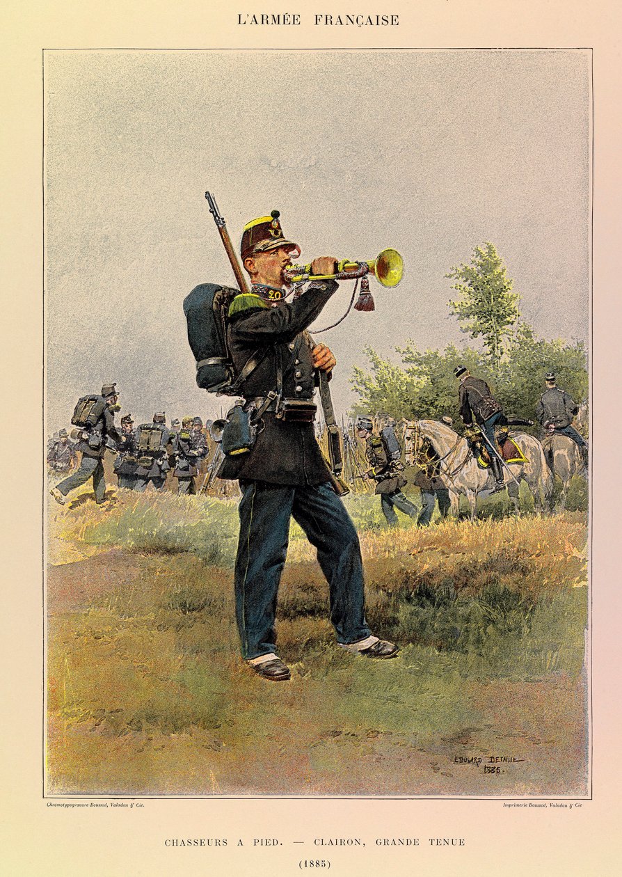 Tipi e uniformi dell