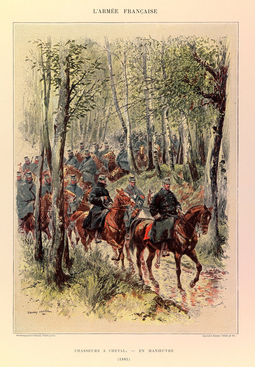Tipi e uniformi dell
